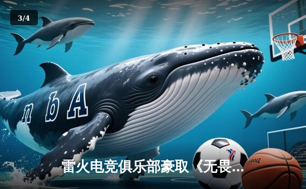 雷火电竞俱乐部豪取《无畏契约》亚洲邀请赛冠军，星辰力挽狂澜斩获MVP - 3