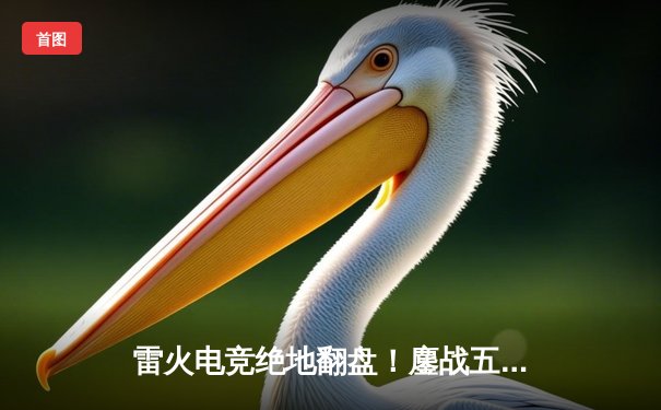 雷火电竞绝地翻盘！鏖战五局险胜星耀战队夺得分区冠军